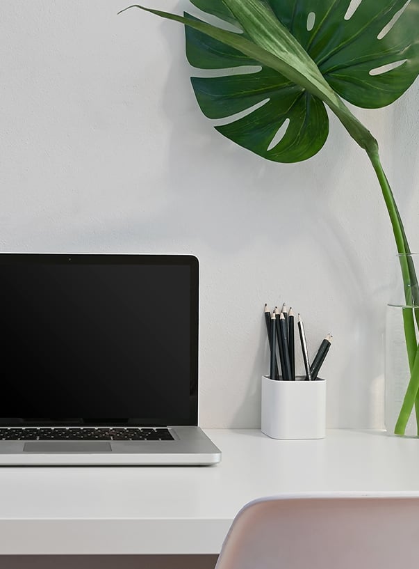 Schreibtisch mit Pflanze, Laptop und Stiftebecher